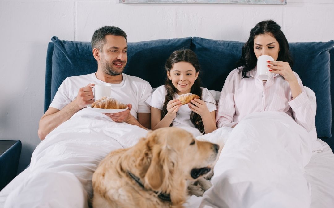 Pourquoi est-il indispensable d’avoir un protège-matelas imperméable ? 10 raisons