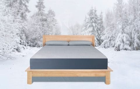 Pillow-Polaris-in-Schneelandschaft