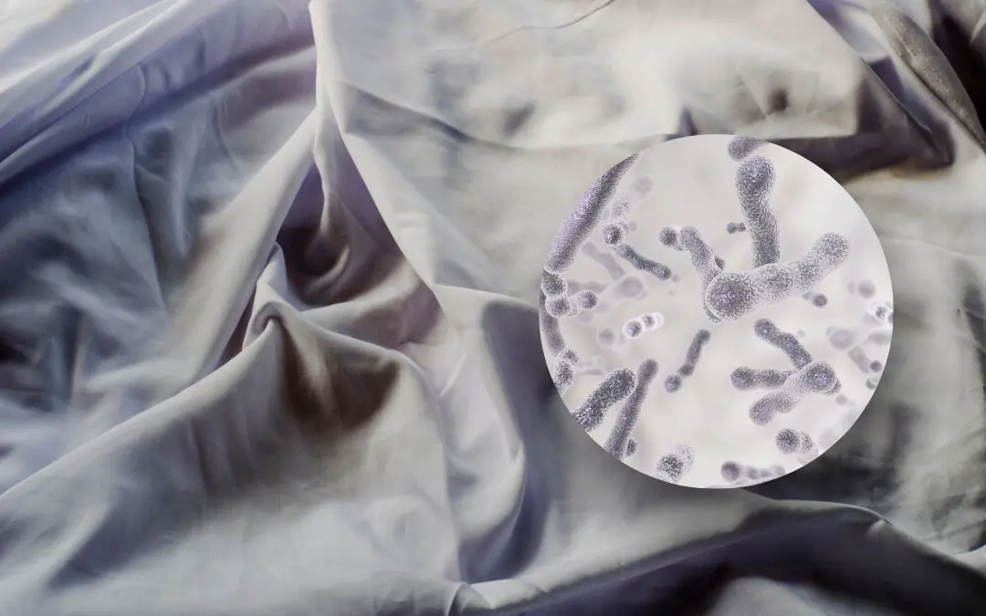 Per què és tan important dormir amb llençols nets lliures de bacteris?