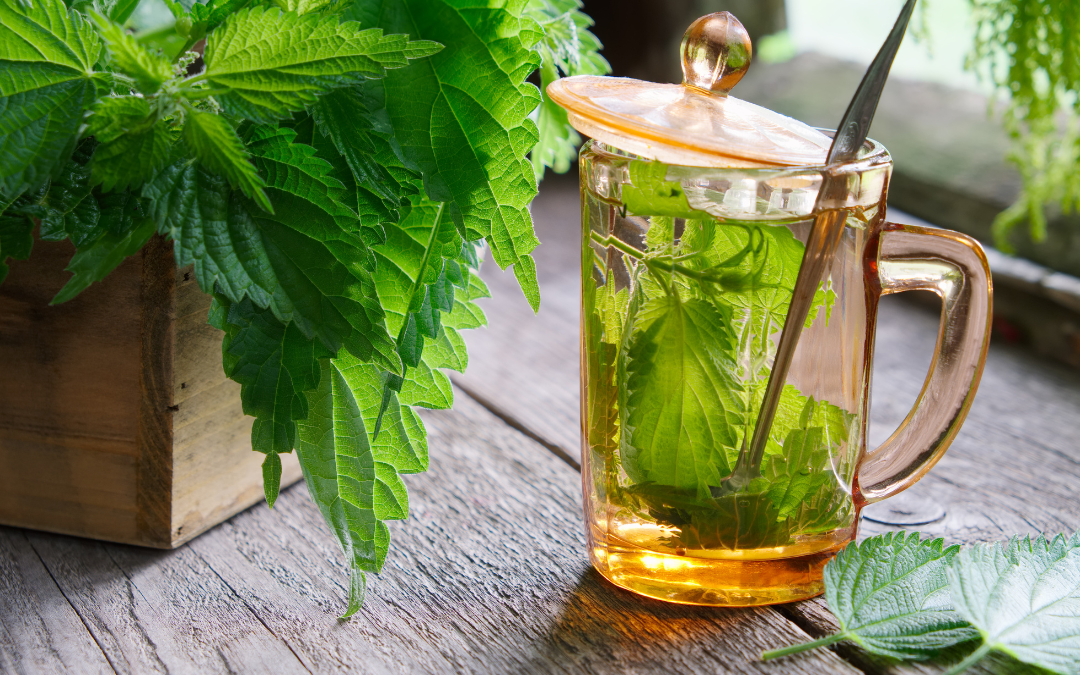 The best herbs to help you relax before bed